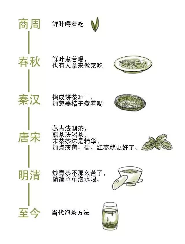 好啊,我来教你如何快速成为绿茶界的老司机(内含福利)