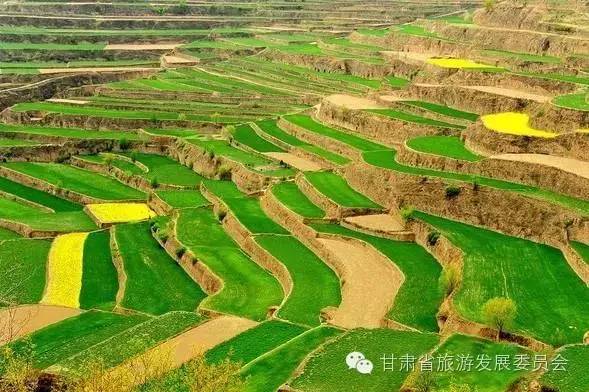 康县和庄浪县获得全国休闲农业和乡村旅游示范