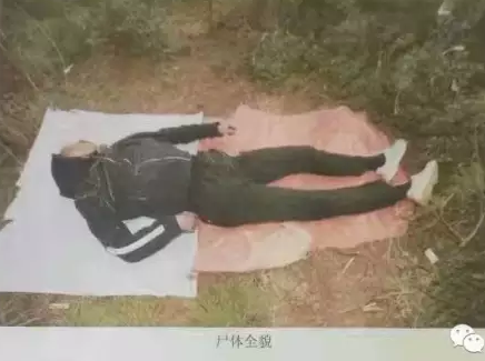 紧急扩散!曲靖一树林发现一具男尸,警方通告认尸