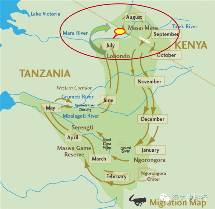 专栏|观赏东非野生动物大迁徙的正确方式