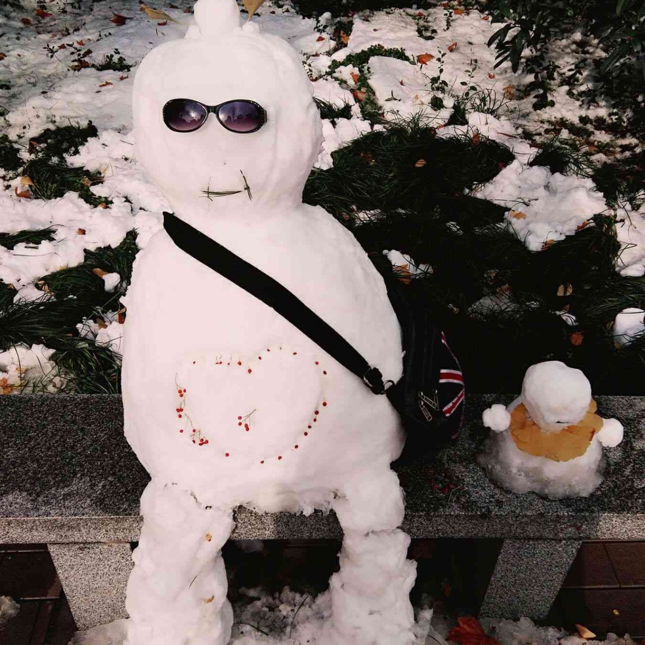 我师首届雪人大赛开赛!你喜欢的风格是清流还是泥石流?