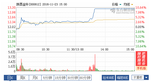 陕西金叶000812受重大利好刺激,定让散户大吃