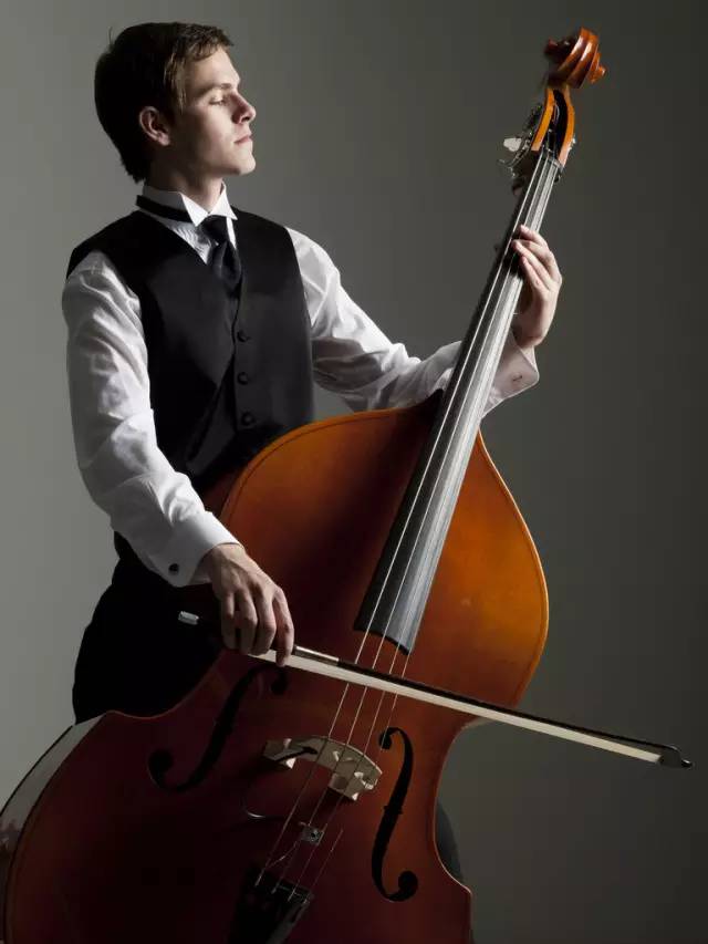 提琴家族中体积最大的成员,低音提琴在音乐的世界里有着 独特的声音