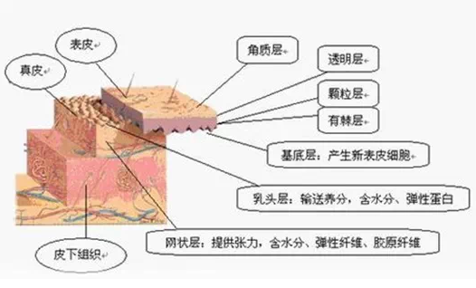 那我们说基底层不健康的人很容易看出来,就是有斑.