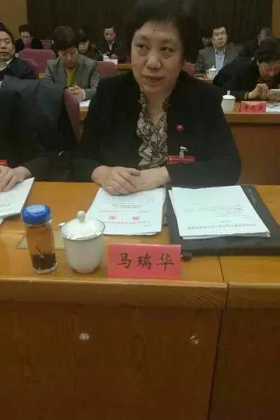 河北省第九次党代会代表,石家庄一中教师马瑞华审议报告,畅谈心声