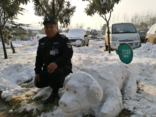 大雪后奇葩雪猪亮相大郑州猪都被玩儿坏了