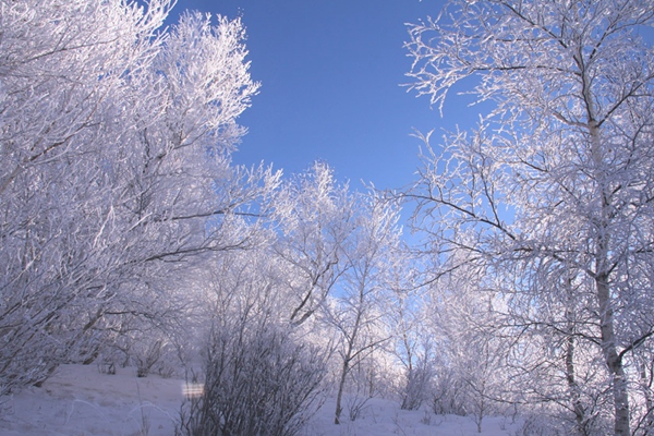 醉美雪景如约而来 带你赏遍北国风光