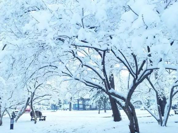 阳春白雪总好过下里巴人