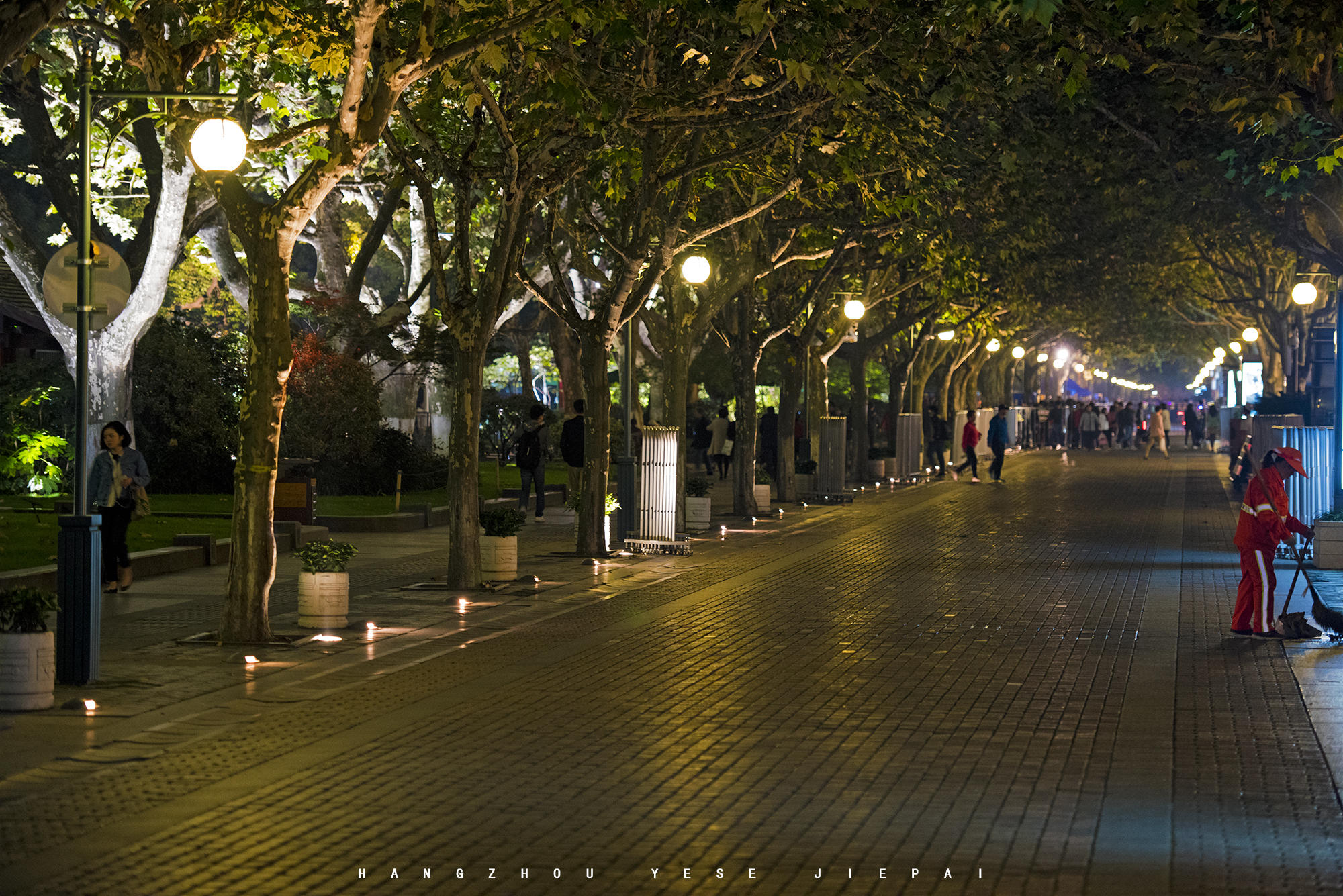 图为杭州夜晚的街景,平海路东坡路路口