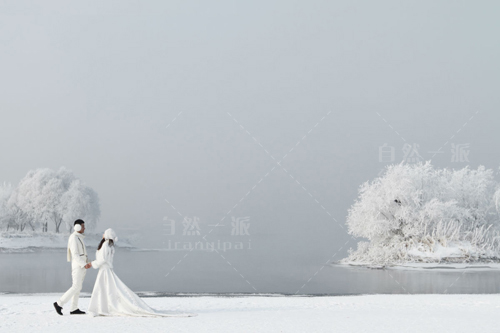 雪中婚纱照_雪中悍刀行图片