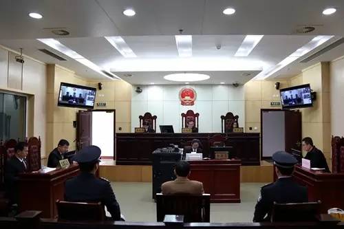 青岛中院环资庭开庭审理首起涉环境资源刑事案