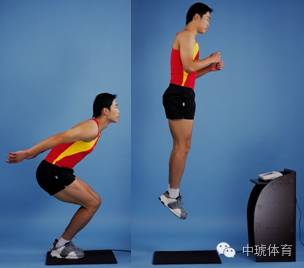 爆发力--纵跳 纵跳是体育运动的基本动作之一,可分为原地纵跳和助跑