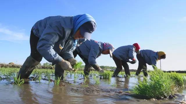 农村户籍人口_汉滨区 三个结合 夯实农村户籍人口信息核对登记工作