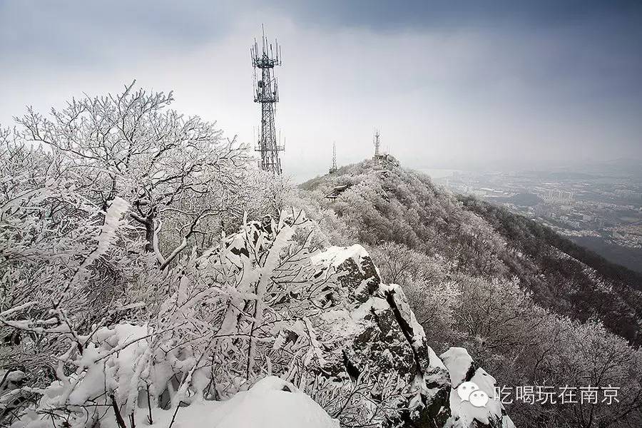 【南京赏雪圣地大推荐】最美是曾与你玩过雪的冬天如己手机