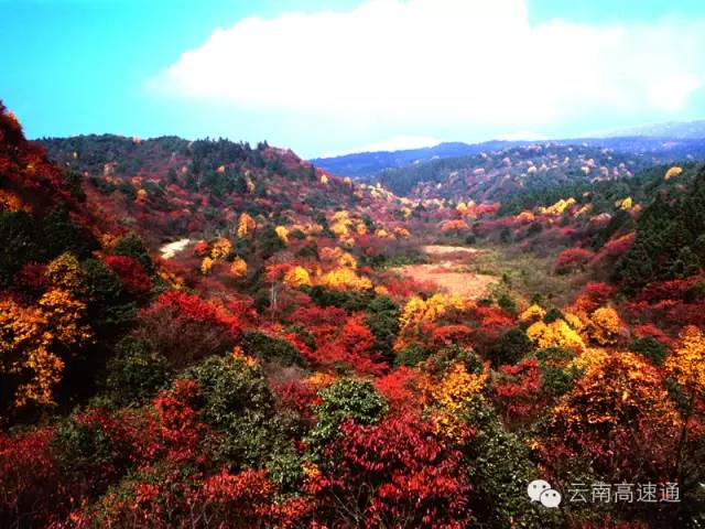 先锋旅游丨彝良小草坝满山红叶映飞瀑,光看图片都能把