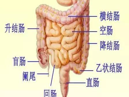 长期便秘,痔疮,便血.当心是大肠癌!