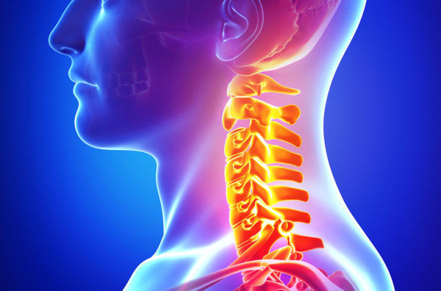颈椎,就是位于颈部的脊椎,由7块骨头联结而成.