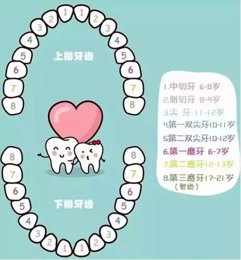 儿童换牙顺序混乱 图片合集