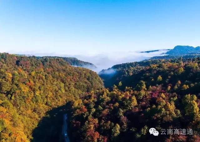 先锋旅游丨彝良小草坝满山红叶映飞瀑,光看图片都能把人美翻