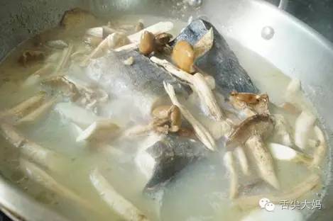 dailysoup茶树菇鲟鱼汤