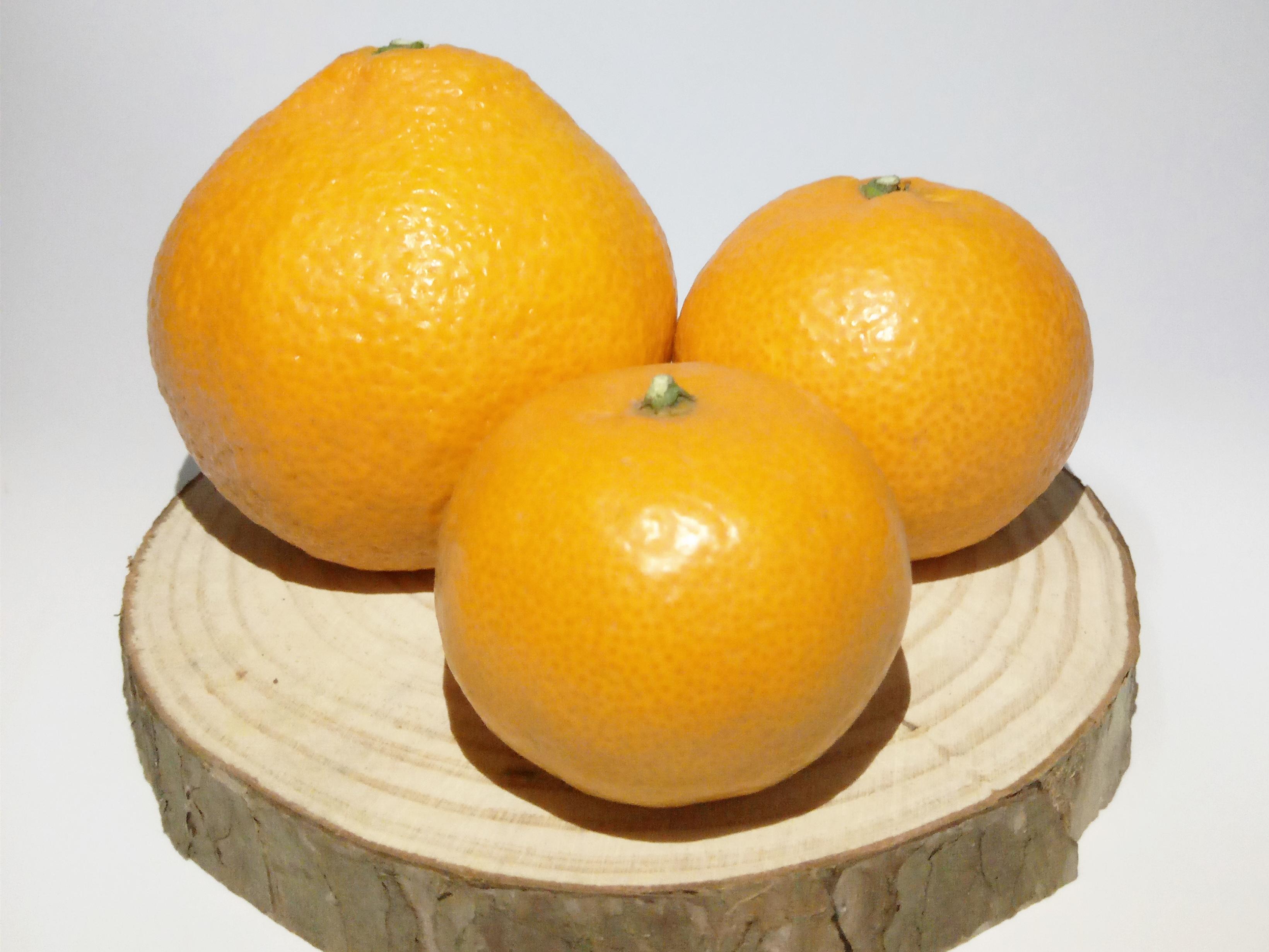橙子橘子图片素材_免费下载_jpg图片格式_VRF高清图片500771997_摄图网