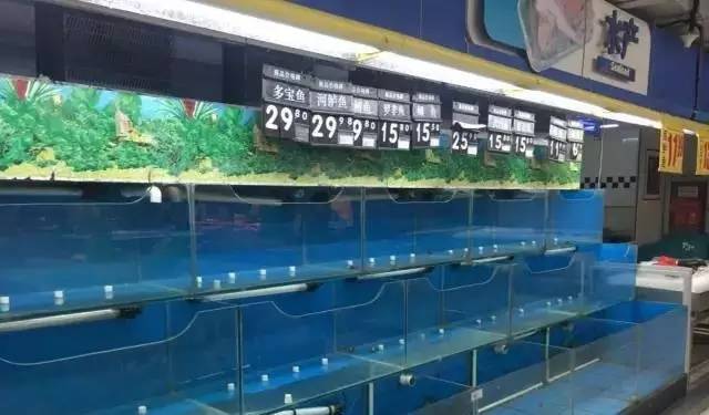济南各大超市停售淡水活鱼!农贸市场还有!但…