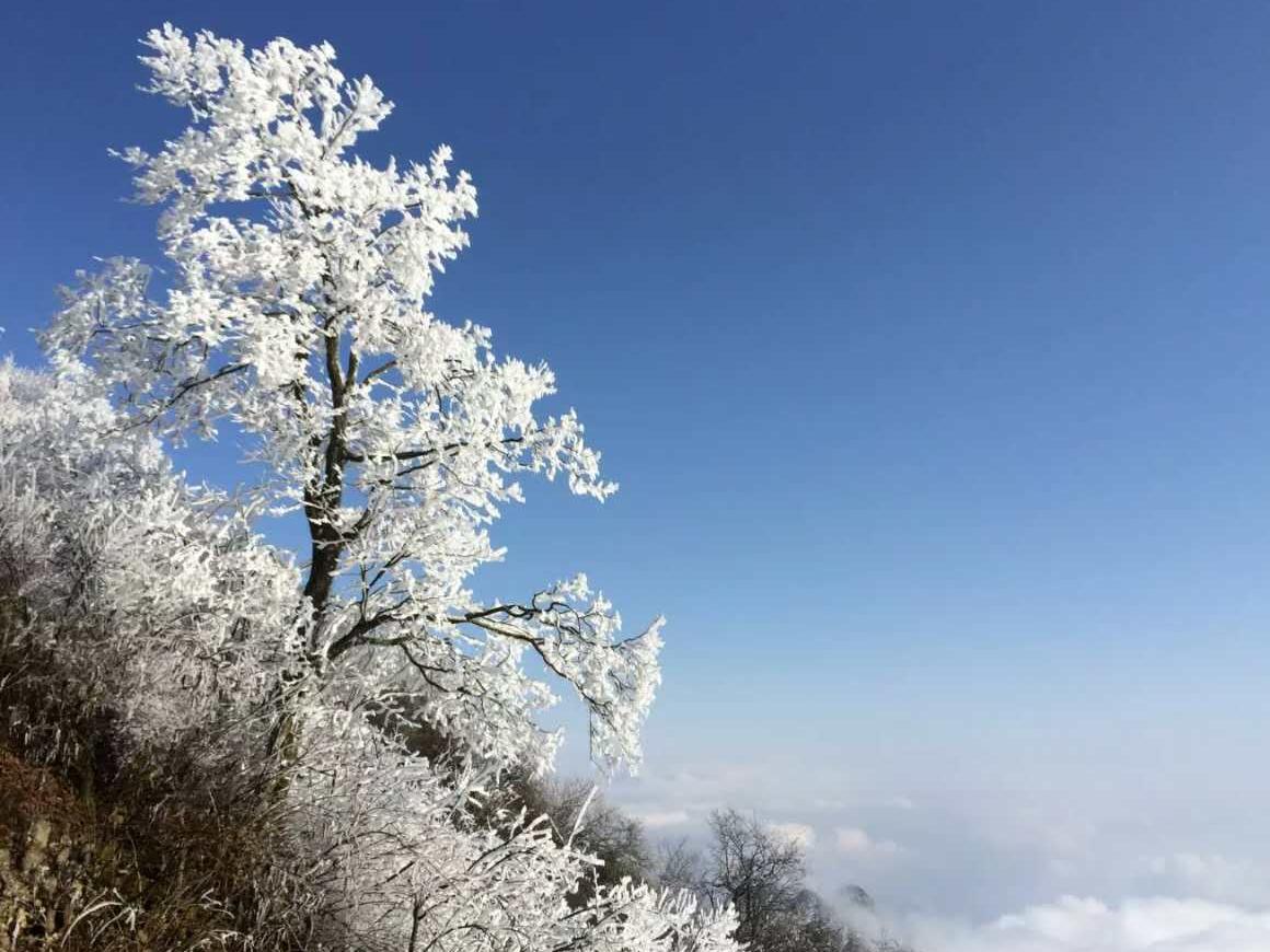 赵公山位于四川省都江堰市西南,成都平原西北部,青城山-都江堰风景