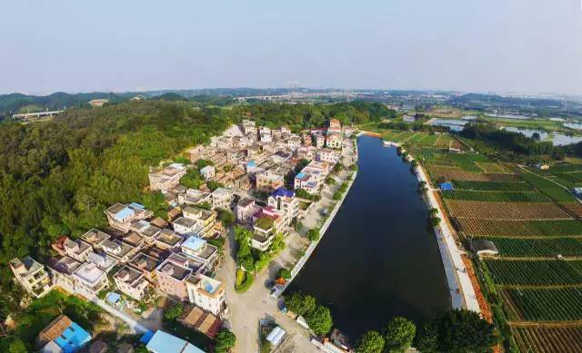 沙塘村人口_灵山县沙塘村