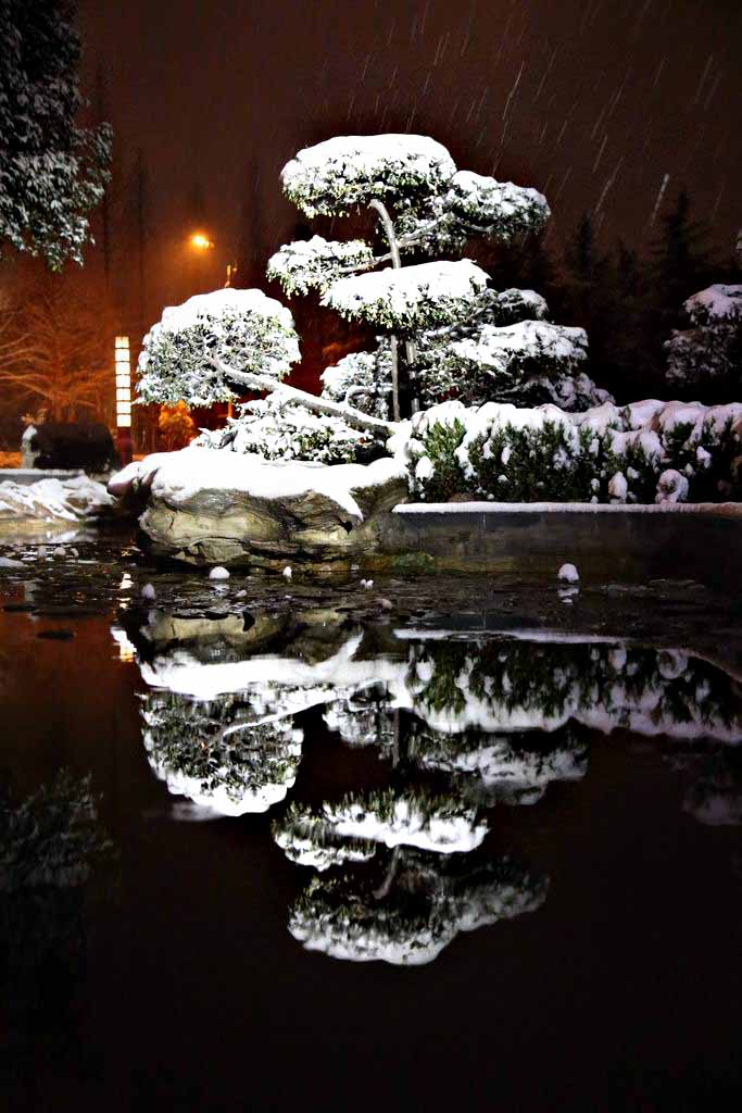 神都同文书院的夜雪