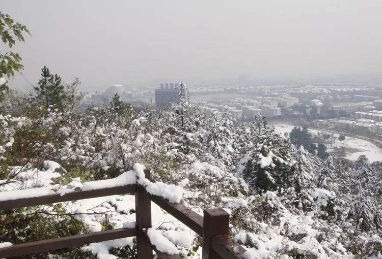 宜宾第一场雪已经来了!雪景太美,好像在哈尔滨!