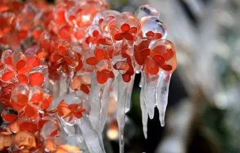 哈尔滨国际冰雪节—松花江上的冰雪迪斯尼乐园