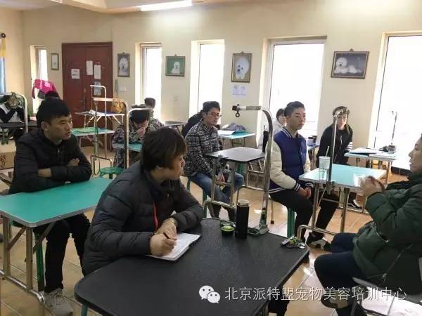 派特盟宠物美容师培训学校第93期开学了