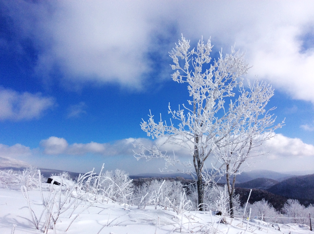 瑞雪兆丰年-16年冬季的雪乡美景