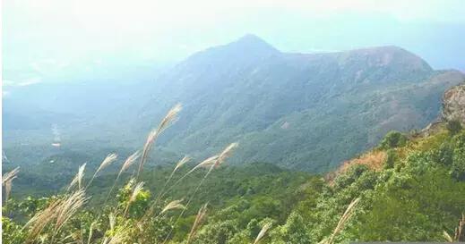 银瓶山位于东莞市谢岗镇,是东莞最高的山峰,称"东莞第一峰".
