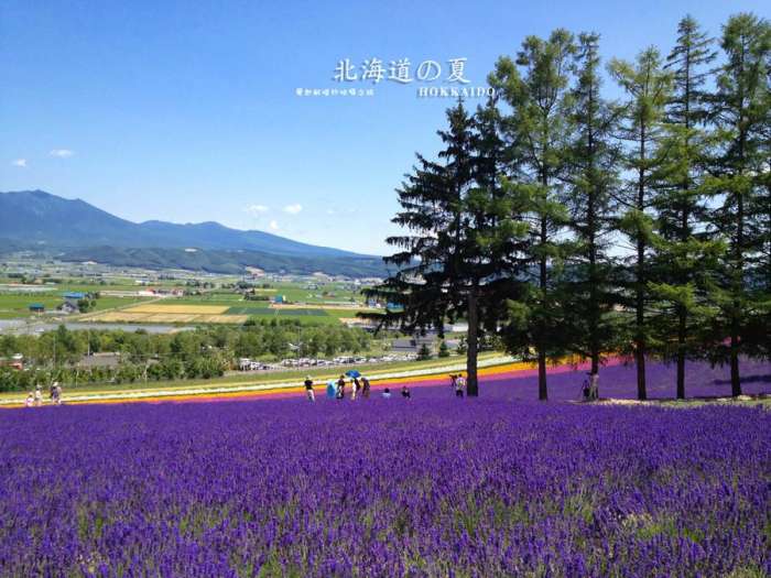 日本为什么叫霓虹国? 关于日本旅游的快问快答