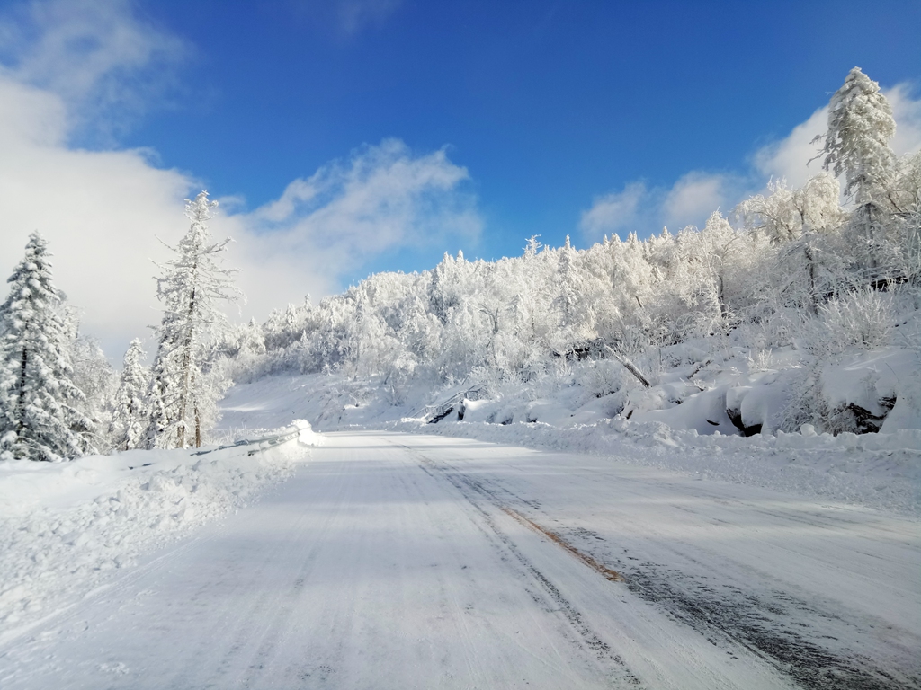 瑞雪兆丰年16年冬季的雪乡美景