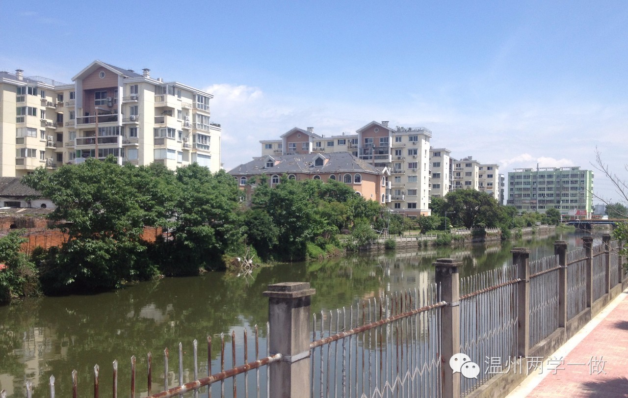 鹿城区藤桥镇雅漾村 鹿城区南郊街道龙方村 龙湾区永中街道坦头村