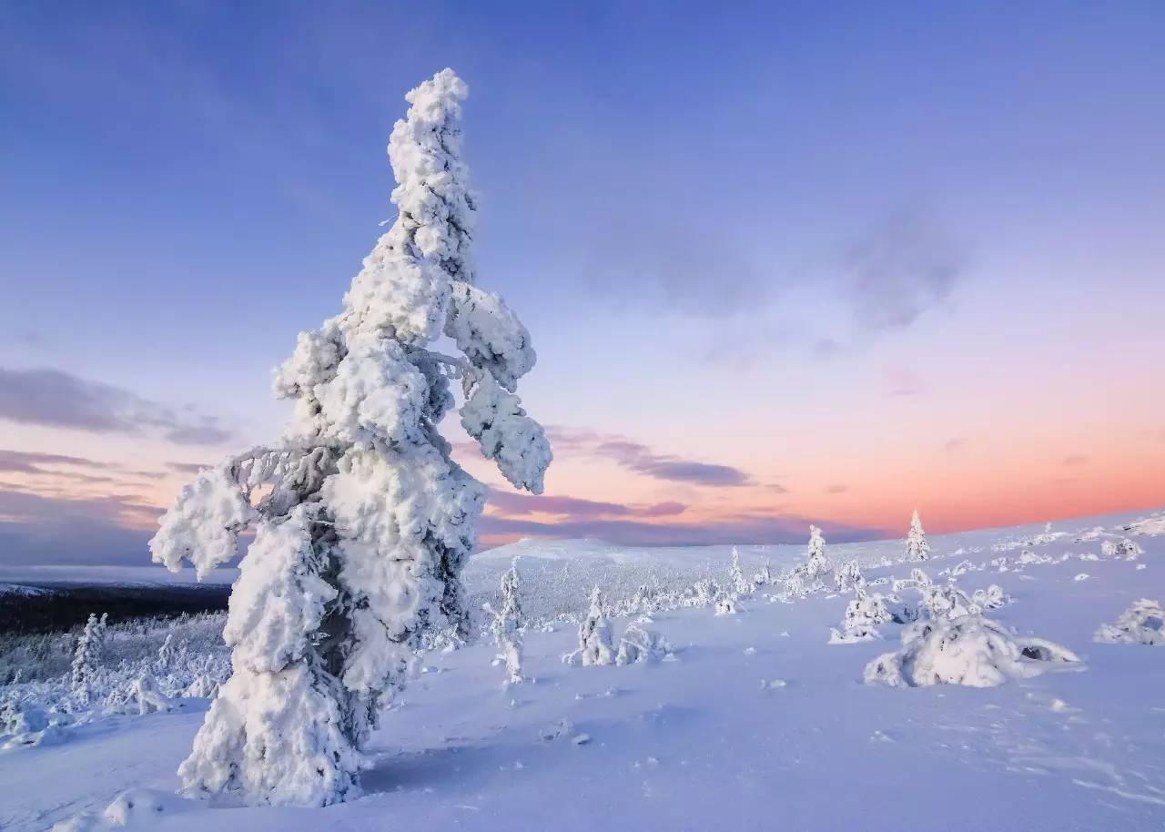 芬兰有40座国家公园,去哪一座好呢?