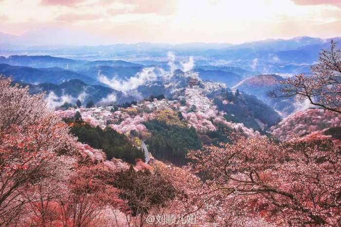 日本为什么叫霓虹国? 关于日本旅游的快问快答