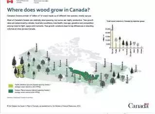 【走进加拿大】硝烟洋溢的美加软木商业长期战(图3)