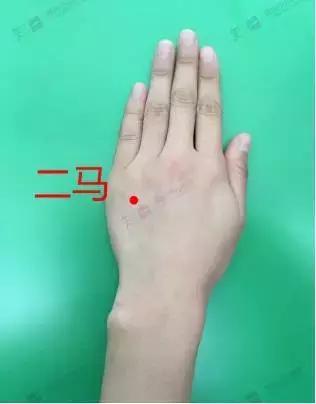 二马 【位置 】 位于手背无名指与小指掌指关节后凹陷处.