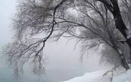 此时对雪遥相忆,送客逢春可自由 幸不折来伤岁暮,若为看去乱乡愁.