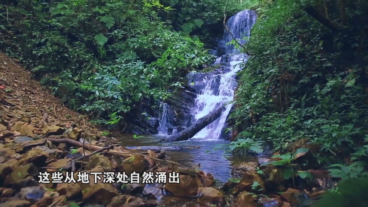 山无静树,川无停流,泉水叮咚,飞瀑直流的岑王老山脚下,是有着"中国