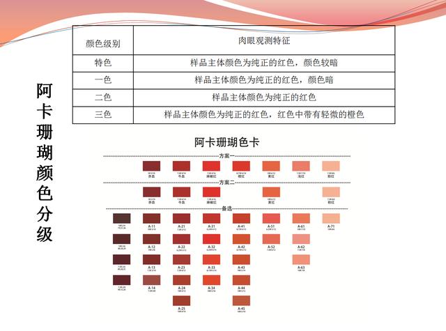 颜色上判断阿卡的标准 孟塞尔色卡标准阿卡珊瑚的株体以独枝居多