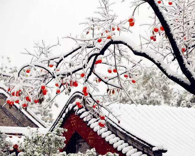 北京的冬天,不仅仅是一个季节,更是每个人心中一种永远说不清的情结