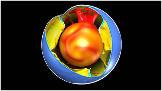 给地球做CT,物理学家从地幔深处揭秘两亿年前