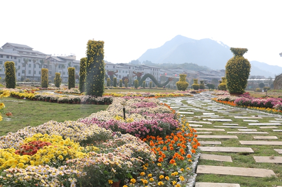 罗甸首届国际菊花展开幕 打造贵州旅游全融合