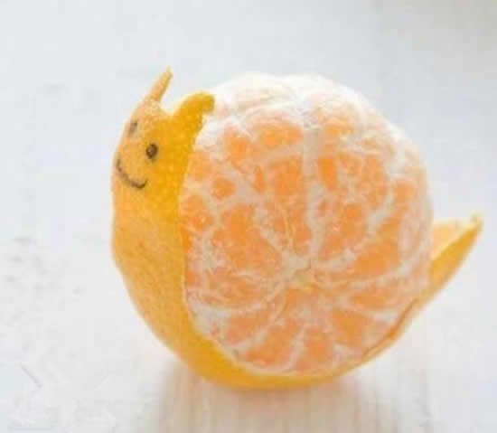 橘子蜗牛