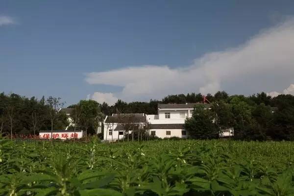 黄石市大冶市(3个:陈贵镇王祠村,殷祖镇五庄村,还地桥镇河泾港社区