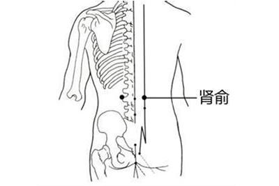 肾俞穴,肾经上的要穴,位于第二腰椎棘突下方旁侧约3个手指的位置
